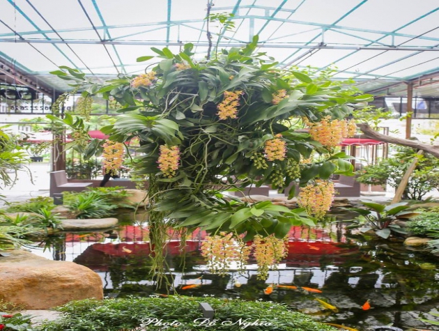 Hà Nội: Họp báo sự kiện quảng bá 150 gian hàng sản phẩm OCOP, tặng 10.000 cây lan quý cho Vườn Quốc gia Ba Vì